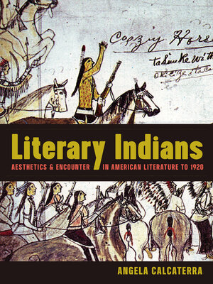 cover image of Literary Indians